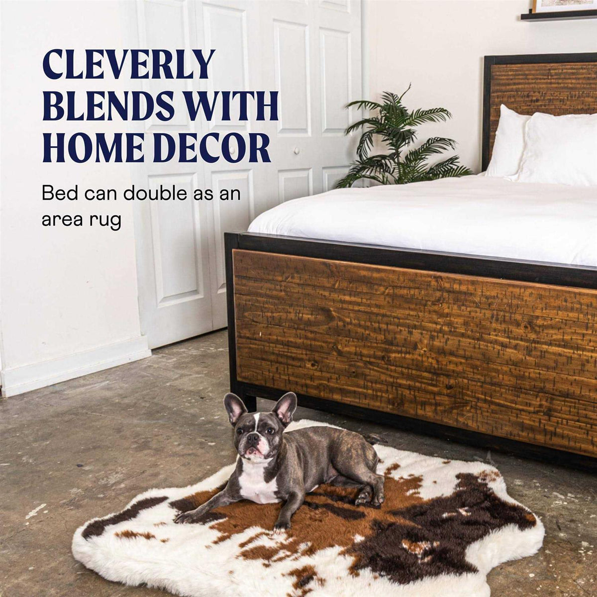 Animal Print Memory Foam Dog Bed F2440
