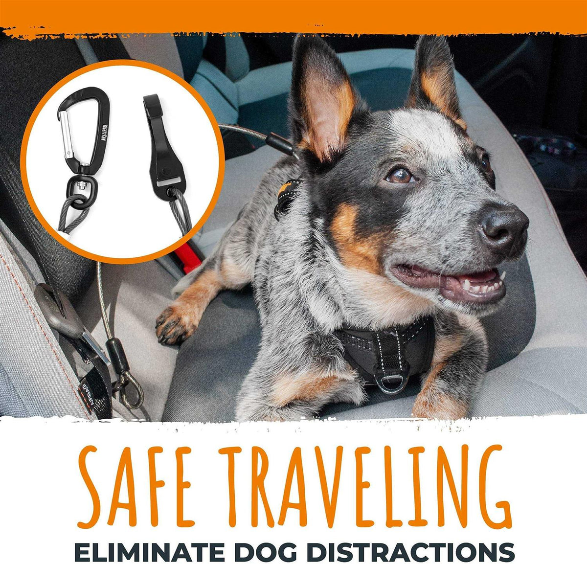 Chew-Proof Dog Seat Belt C33651