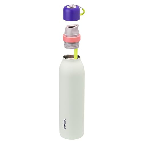 24-oz Insulated Stainless Steel Water Bottle with Straw S664