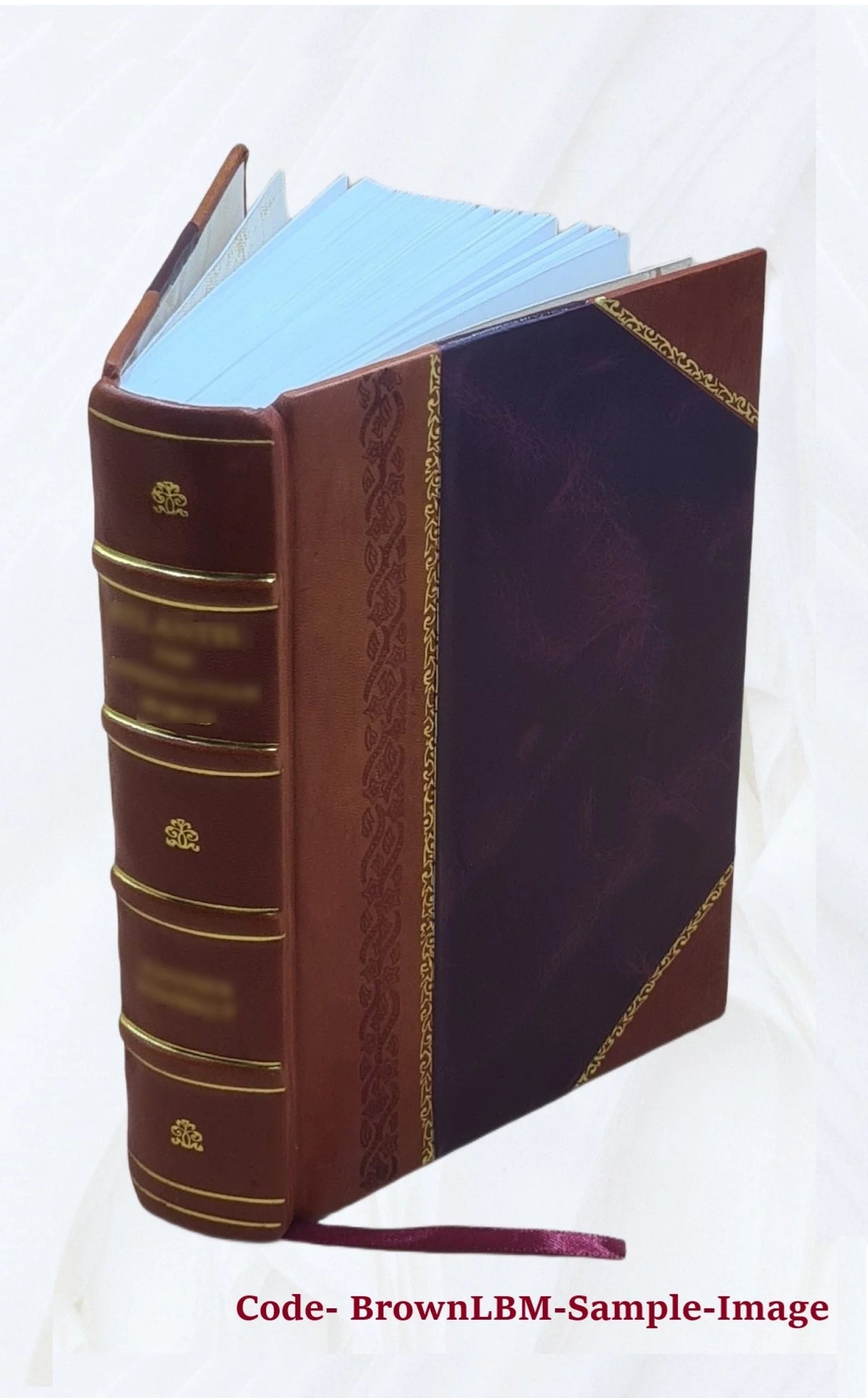 1920 Census Population Schedules Illinois Leather Bound J897079