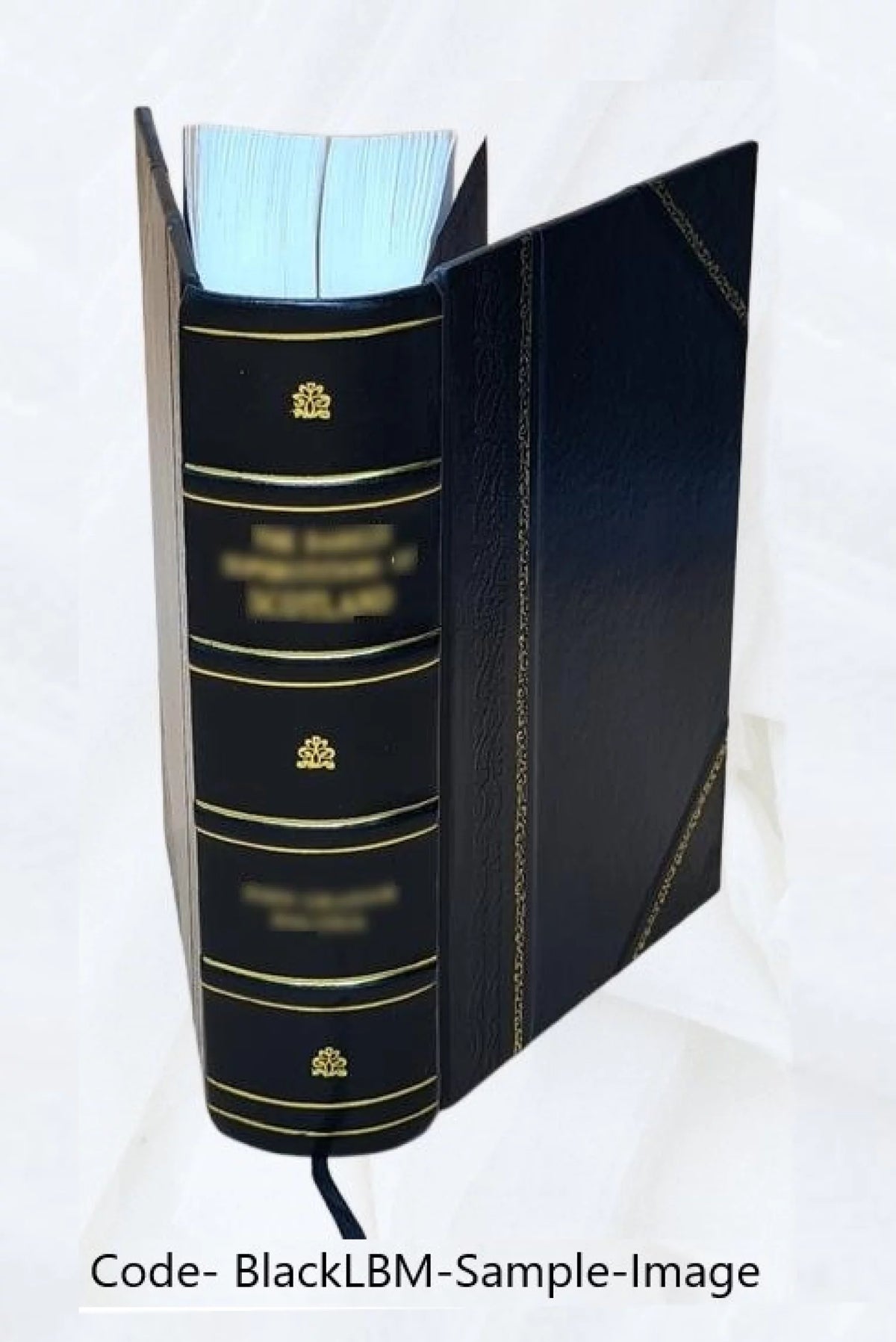 1920 Census Population Schedules Illinois Leather Bound J897079