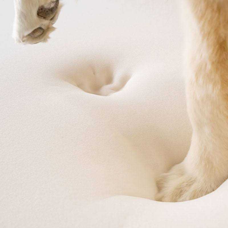 Animal Print Memory Foam Dog Bed F2440