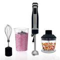 Immersion Hand Blender Stainless Steel Q6218