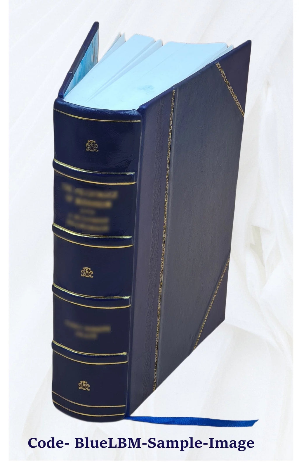 1920 Census Population Schedules Illinois Leather Bound J897079