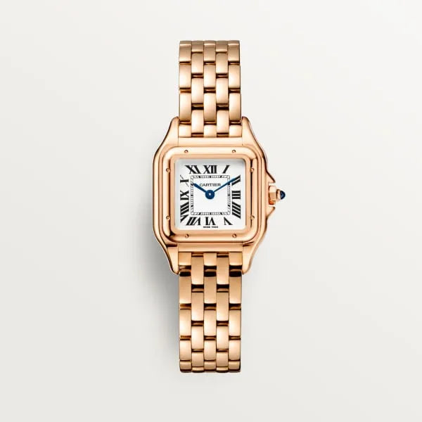 Cat Leather Watch S4301