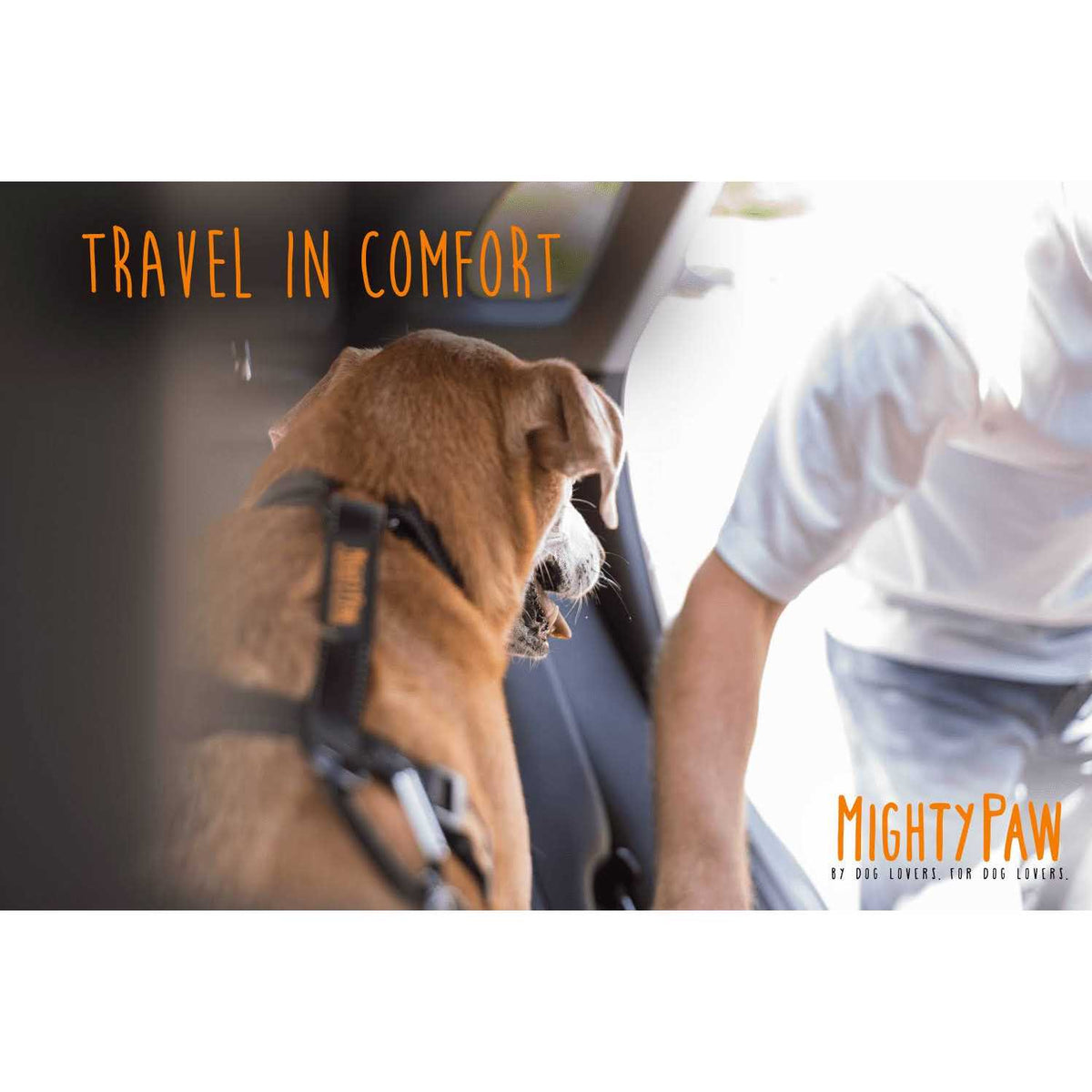 Chew-Proof Dog Seat Belt C33651