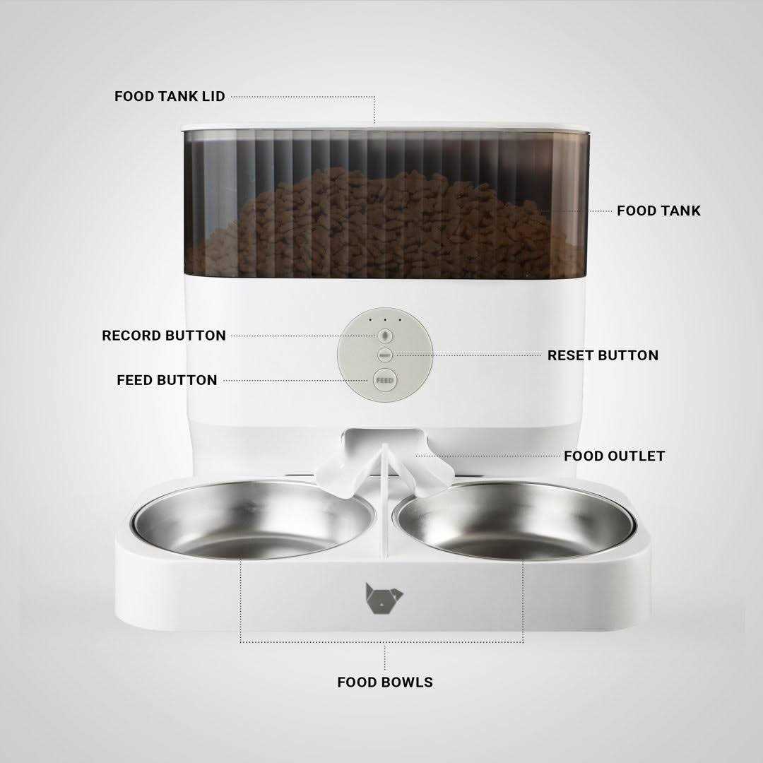 Double Automatic Pet Feeder E6338