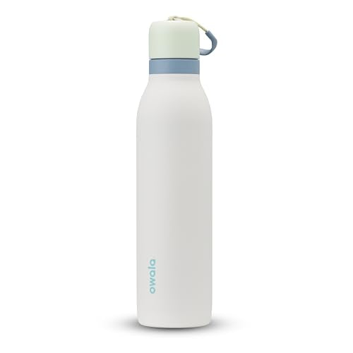 24-oz Insulated Stainless Steel Water Bottle with Straw S664
