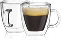 Double Wall Insulated Espresso Mugs Set of 2 I44133