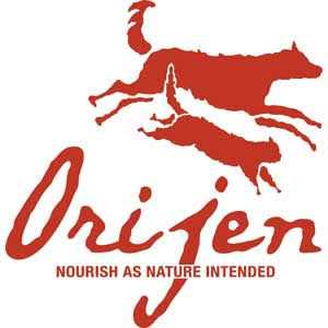Dry Dog Food T3253