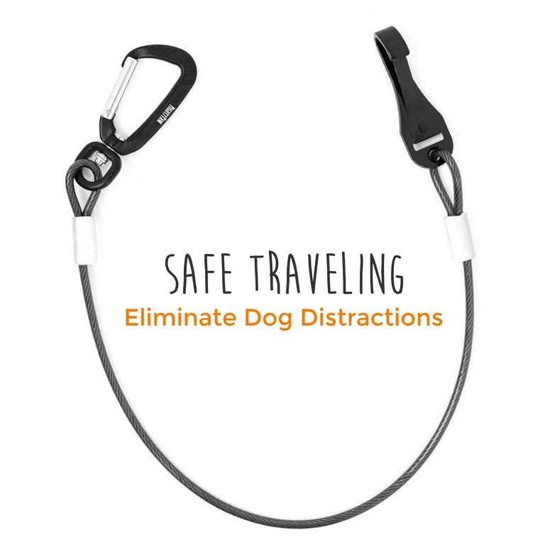 Chew-Proof Dog Seat Belt C33651
