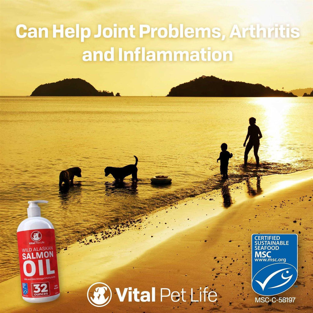 Salmon Oil for Dogs & Cats D9547