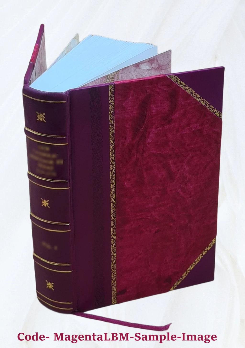 1920 Census Population Schedules Illinois Leather Bound J897079
