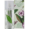 Green Tea Eau De Toilette Spray 3.4 oz Y6914