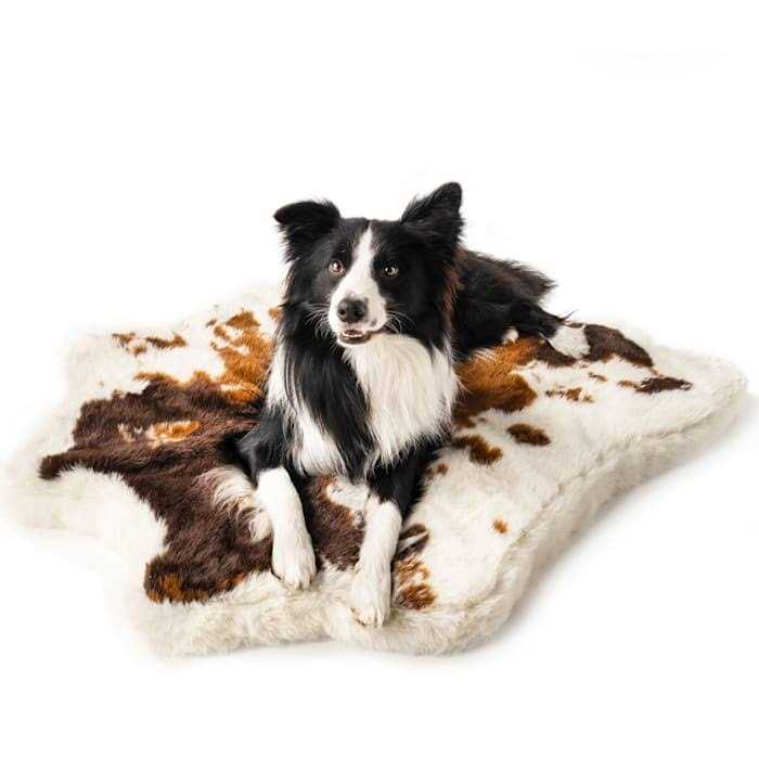 Animal Print Memory Foam Dog Bed F2440