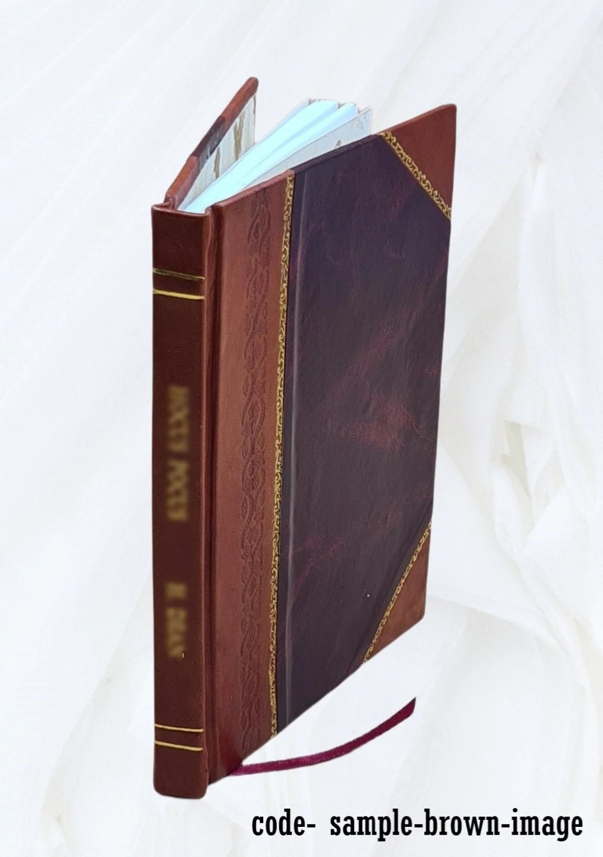 Constitution of the state of Idaho N193