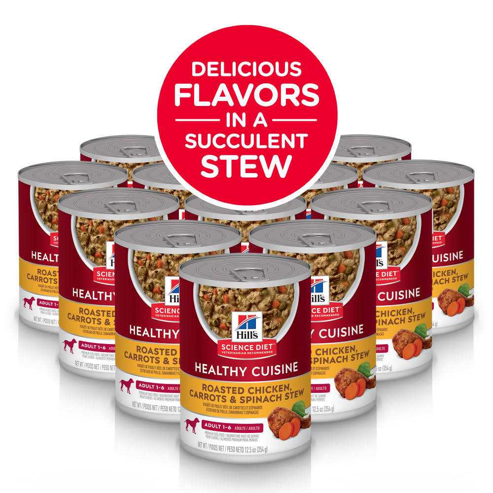 Roasted Chicken Carrots & Spinach Canned Dog Food W481