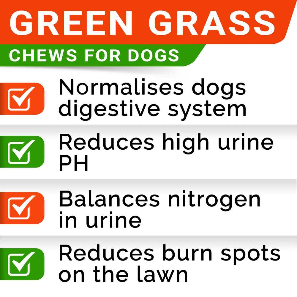 Grass Burn Spot Chews for Dogs E88504