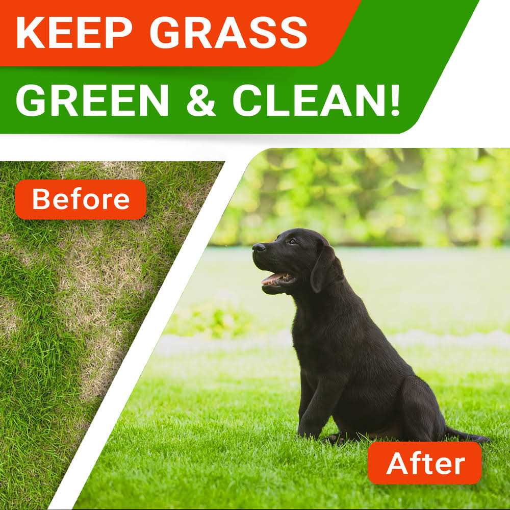 Grass Burn Spot Chews for Dogs E88504