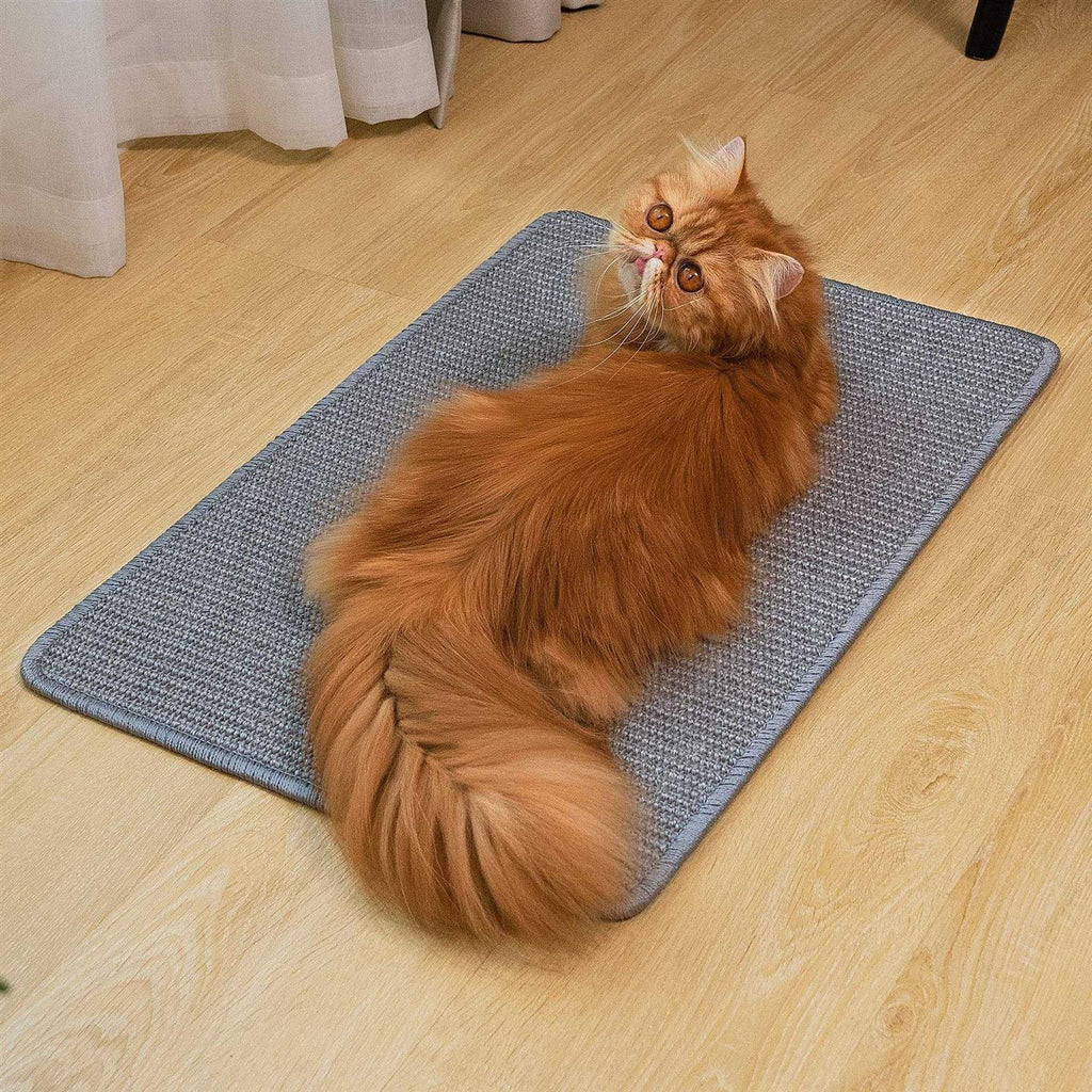Natural Sisal Cat Scratcher Mat N51785